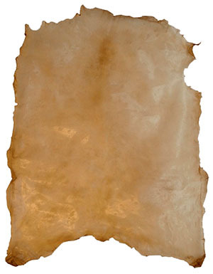 Råhud av kalv pergament trommeskinn skinn til hobby 
